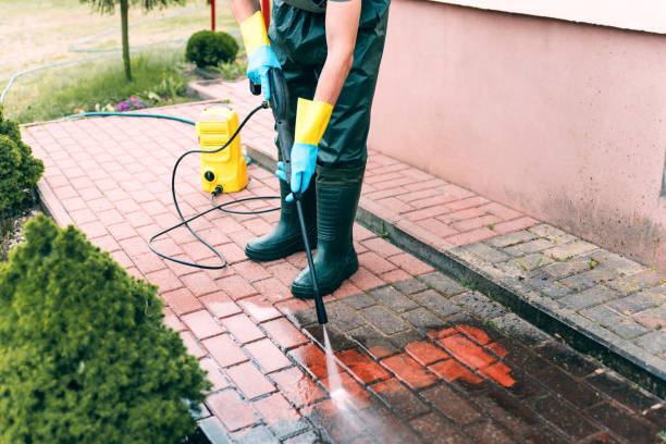 Best Roof Cleaning and Mildew Removal in Germantown, IL